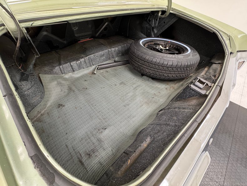 Buick-Skylark-1971-Silver-Fern-Green-39