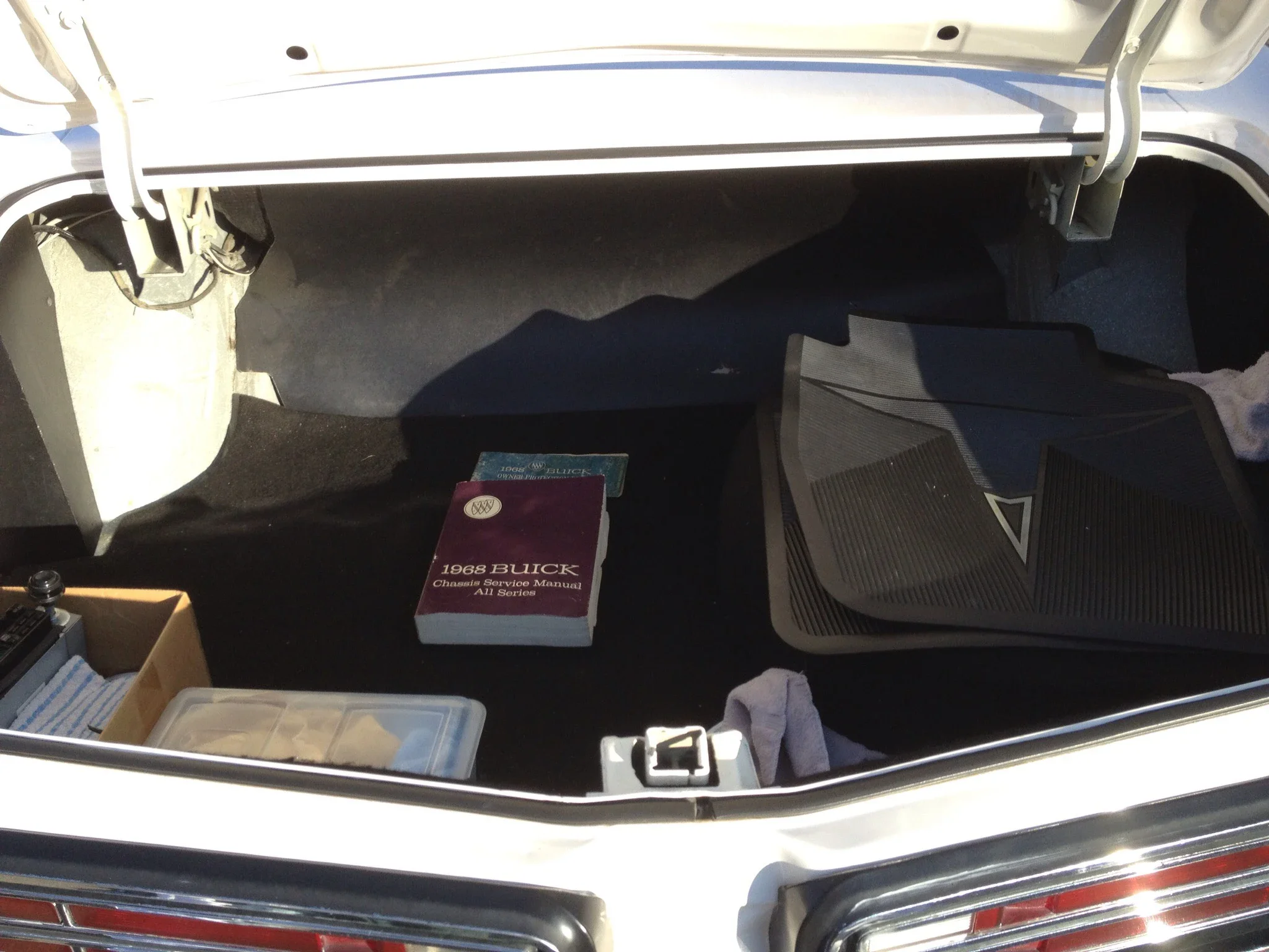 Buick-Wildcat-1968-White-Black-4
