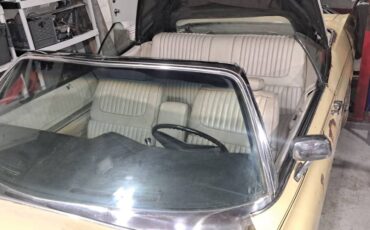 Buick-centurion-1972-yellow-9