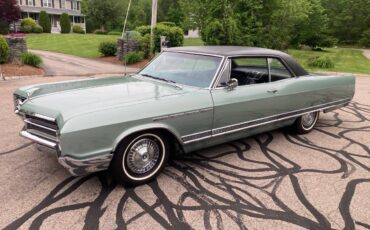 Buick-electra-225-custom-1965-green-10