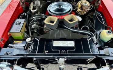 Buick-gs-1971-19