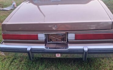 Buick-lasabre-collectors-edition.-1985-brown-5