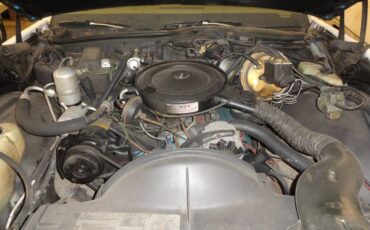 Buick-lesabre-1979-3