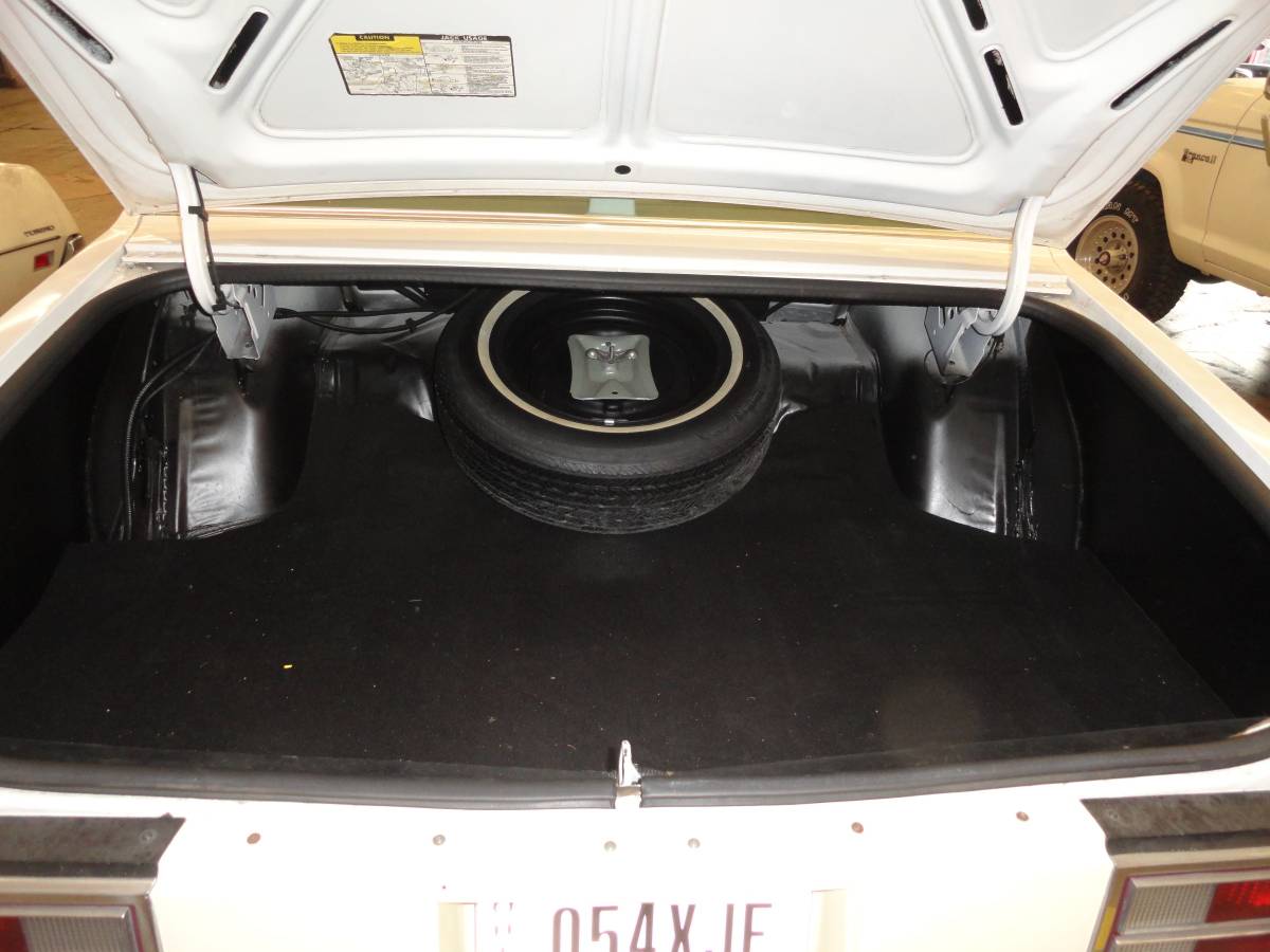 Buick-lesabre-1979-5