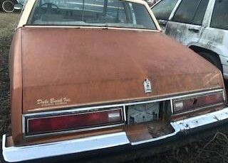 Buick-regal-1980-3