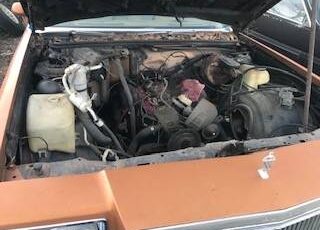 Buick-regal-1980-5