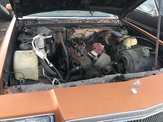 Buick-regal-1980-5