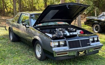 Buick-regal-1986-15
