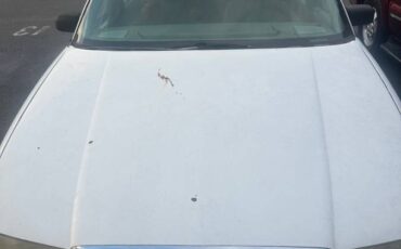 Buick-regal-gs-1993-white