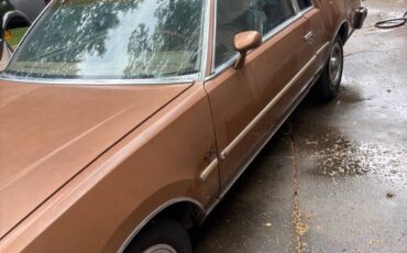 Buick-regsl-1979-brown-10