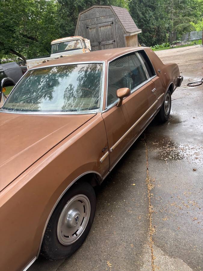 Buick-regsl-1979-brown-10