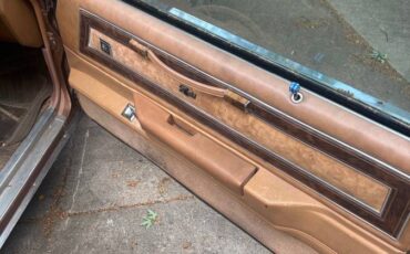 Buick-regsl-1979-brown-11