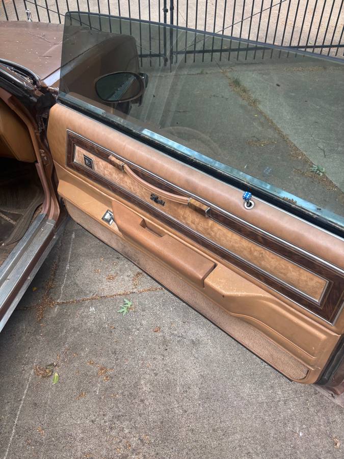 Buick-regsl-1979-brown-11