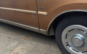 Buick-regsl-1979-brown-2