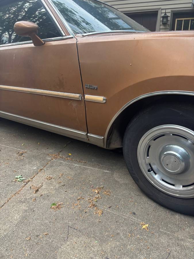 Buick-regsl-1979-brown-2