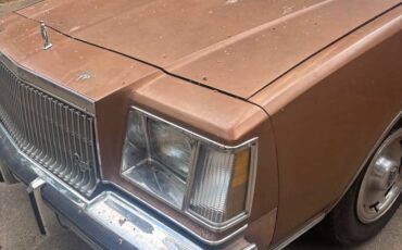 Buick-regsl-1979-brown