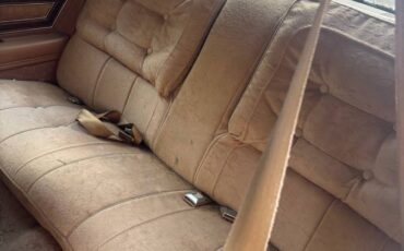 Buick-regsl-1979-brown-6