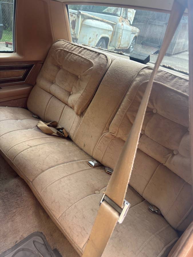 Buick-regsl-1979-brown-6