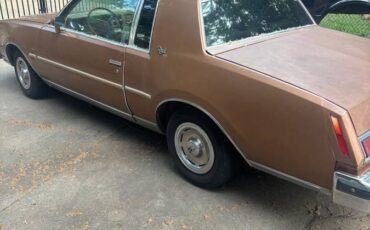 Buick-regsl-1979-brown-9