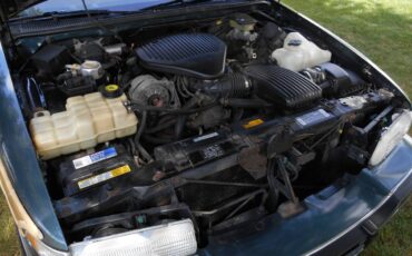 Buick-roadmaster-estate-wagon-1994-5