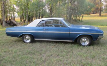 Buick-skylark-1964-blue-2