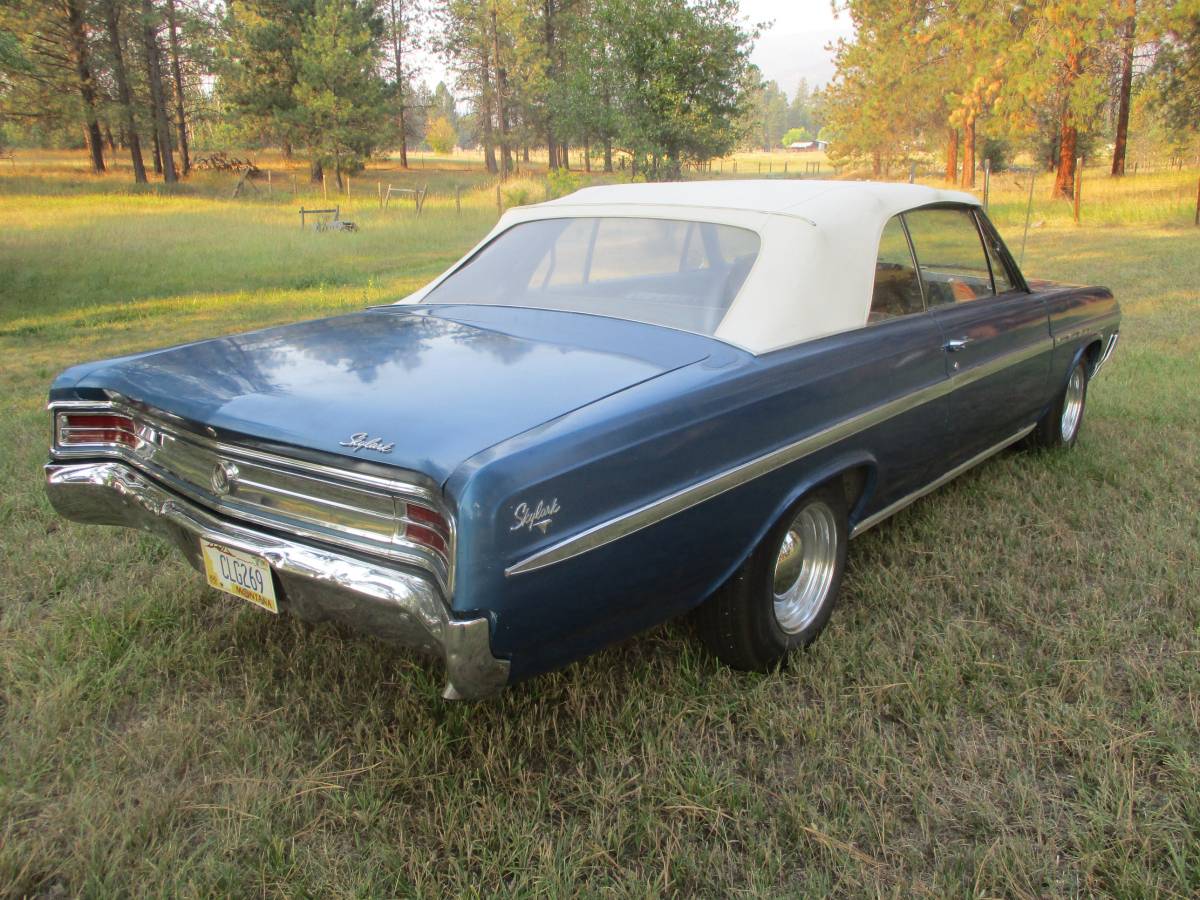 Buick-skylark-1964-blue-3