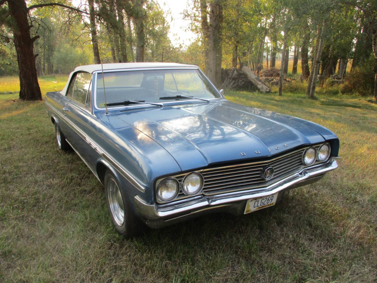 Buick-skylark-1964-blue-4