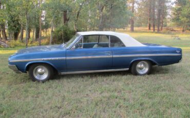Buick-skylark-1964-blue-5