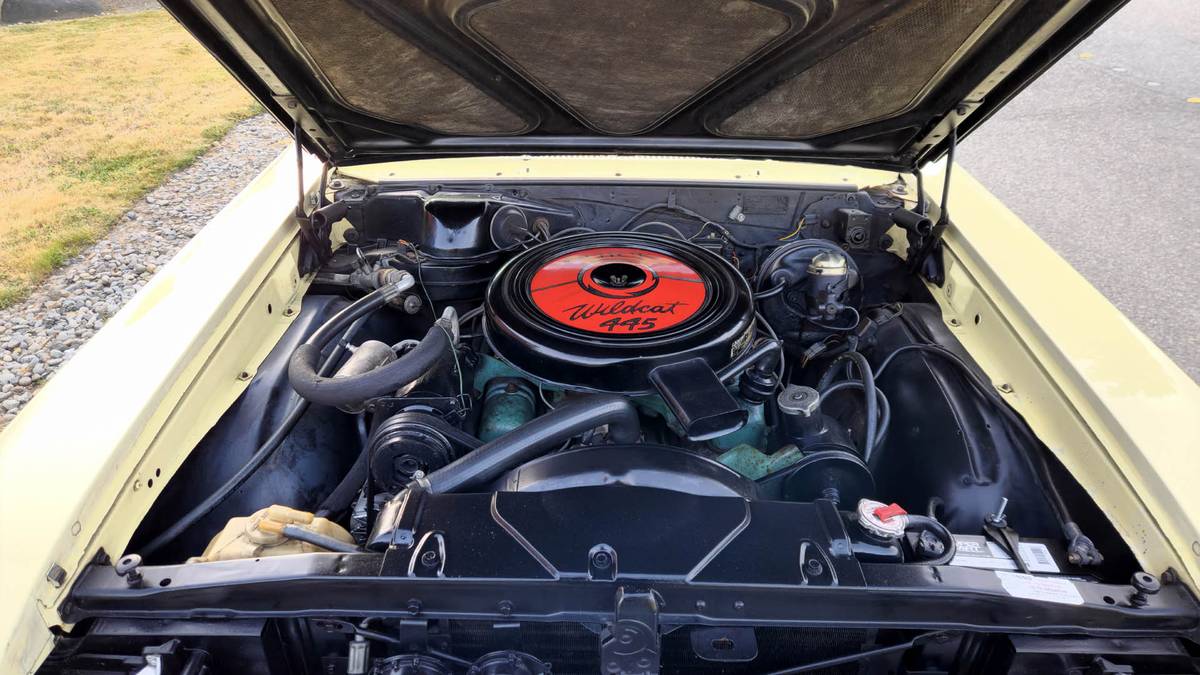 Buick-skylark-1965-14