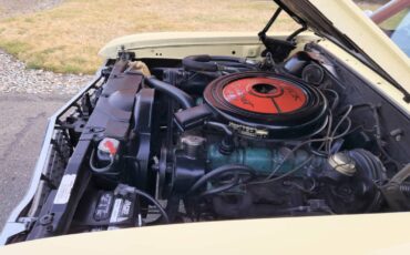 Buick-skylark-1965-15