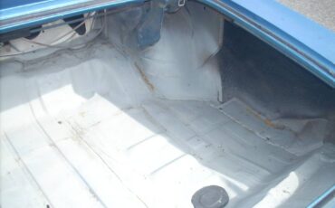 Buick-skylark-1969-blue-14