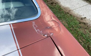 Buick-skylark-1971-18