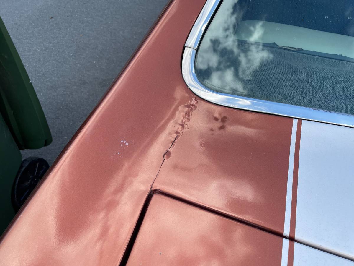 Buick-skylark-1971-21