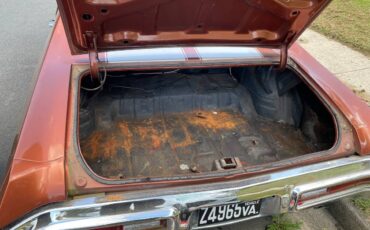 Buick-skylark-1971-22