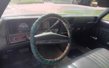 Buick-skylark-1971-green-1