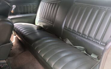 Buick-skylark-1971-green-11