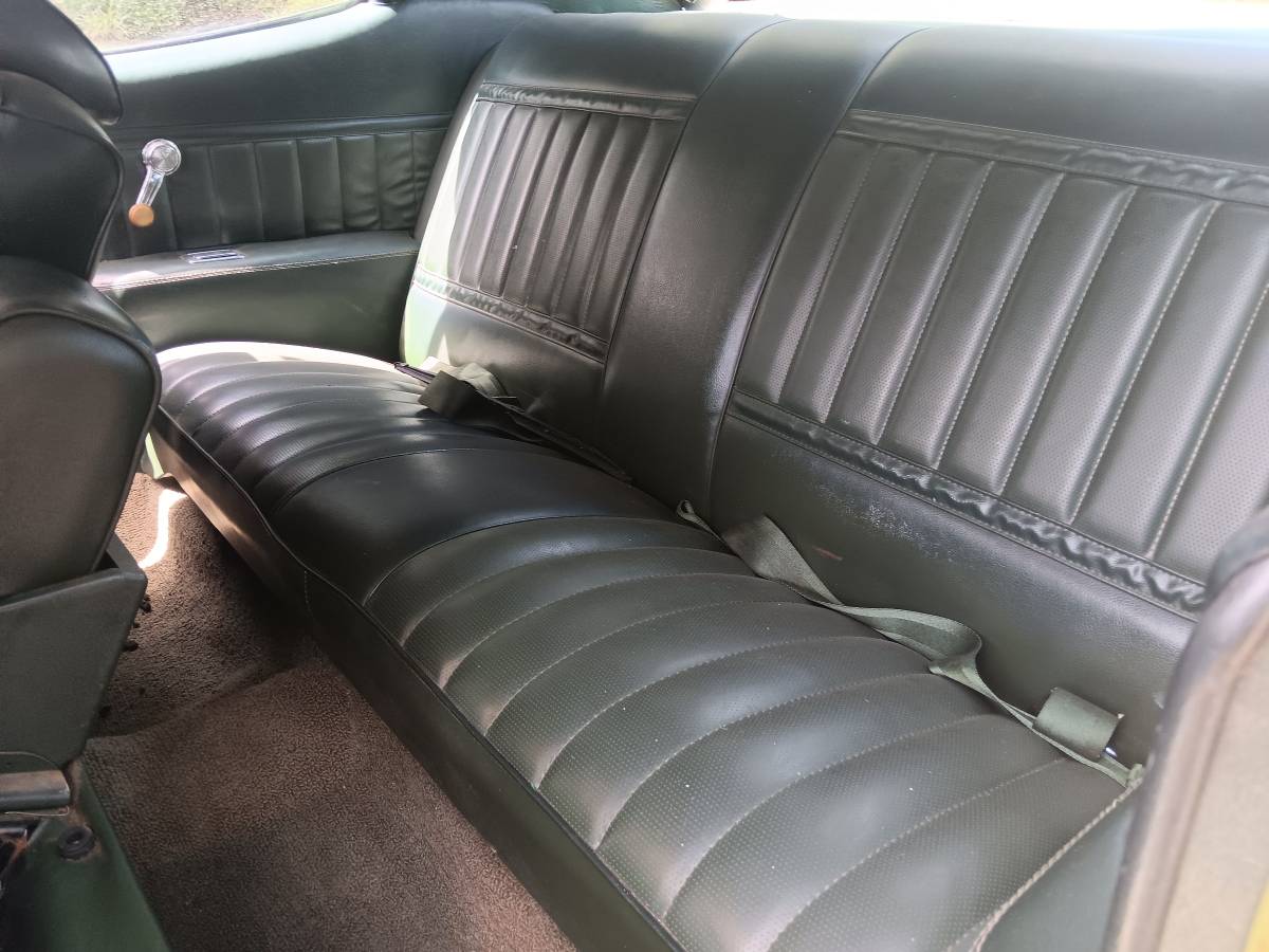 Buick-skylark-1971-green-11