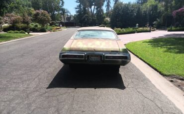 Buick-skylark-1971-green-12