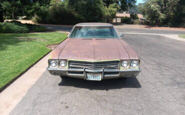 Buick-skylark-1971-green-13