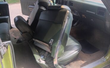 Buick-skylark-1971-green-15
