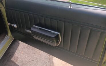 Buick-skylark-1971-green-16