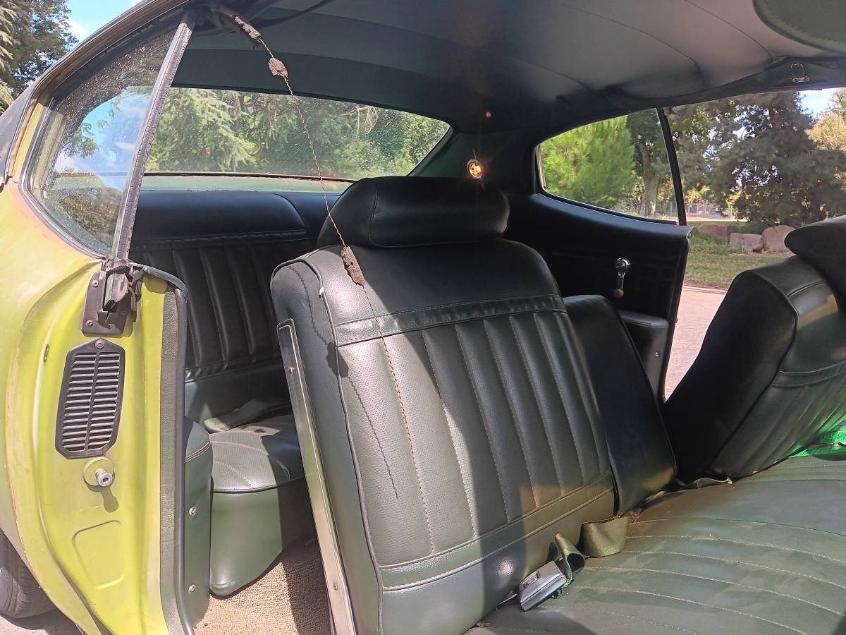 Buick-skylark-1971-green-17