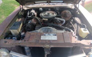 Buick-skylark-1971-green-18