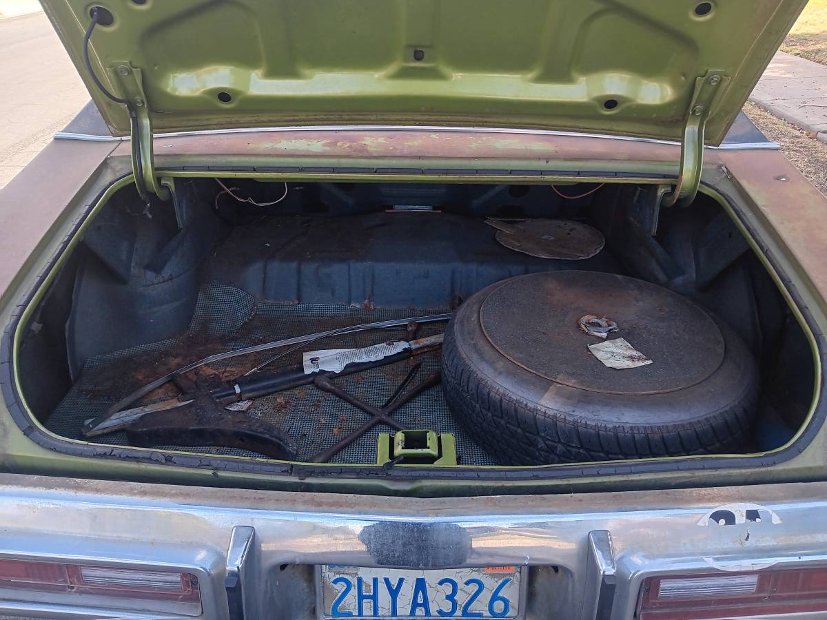 Buick-skylark-1971-green-19