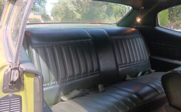 Buick-skylark-1971-green-2