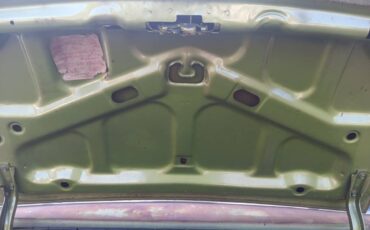 Buick-skylark-1971-green-20