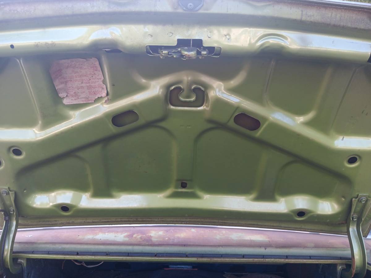 Buick-skylark-1971-green-20