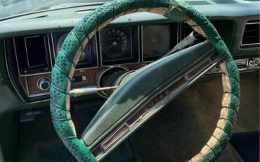 Buick-skylark-1971-green-21