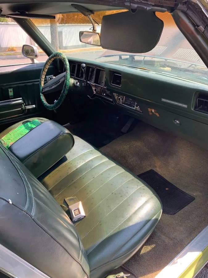 Buick-skylark-1971-green-3