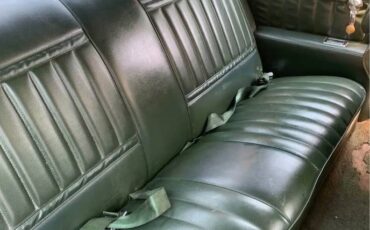 Buick-skylark-1971-green-7